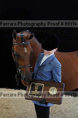 Proof 09yn-21454