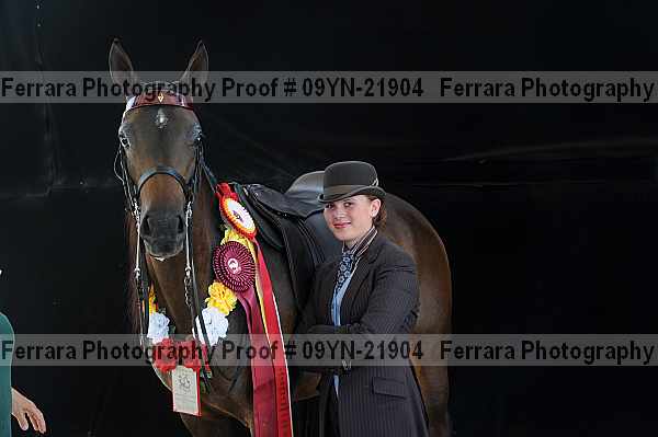 Proof 09yn-21904