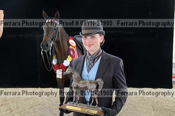 Proof 09yn-21905