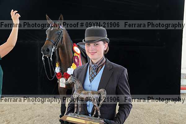 Proof 09yn-21906