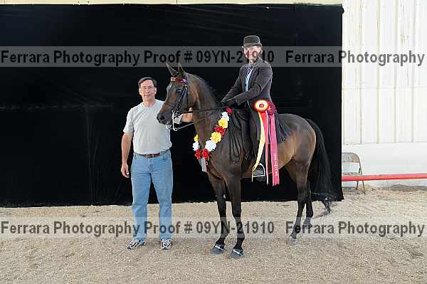 Proof 09yn-21910
