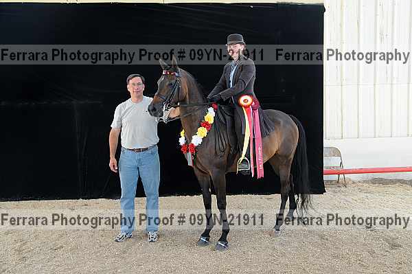Proof 09yn-21911