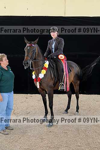 Proof 09yn-21915