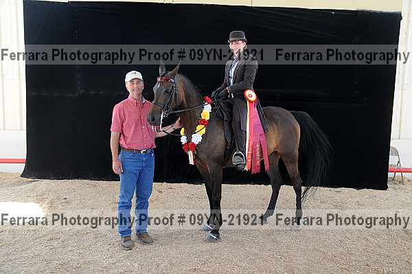 Proof 09yn-21921