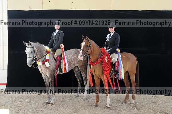 Proof 09yn-21925