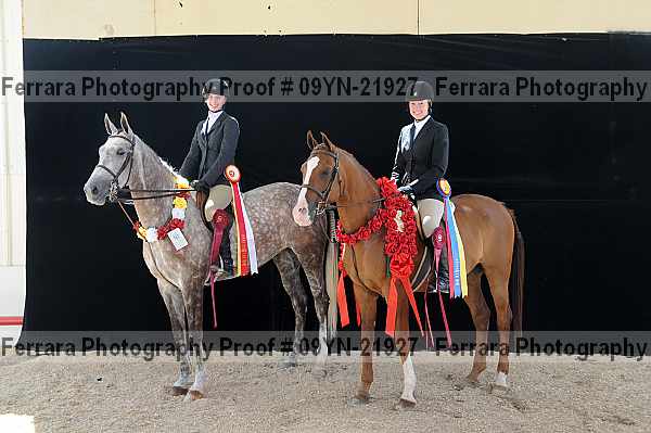 Proof 09yn-21927