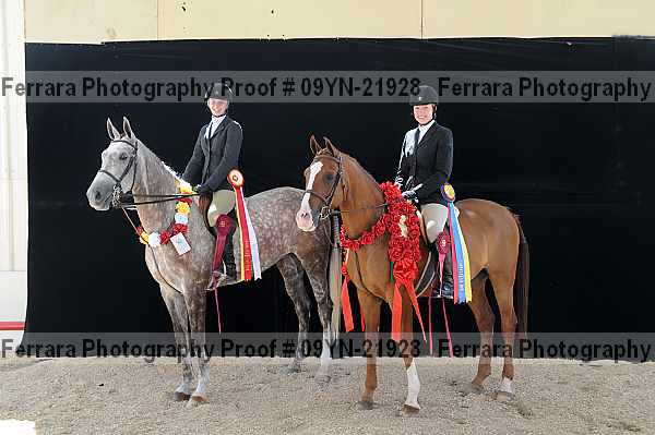Proof 09yn-21928