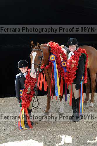 Proof 09yn-21963