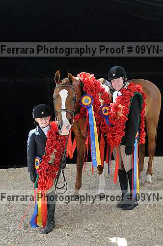 Proof 09yn-21964