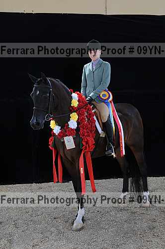 Proof 09yn-21988