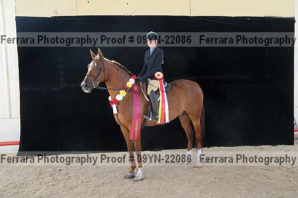 Proof 09yn-22086