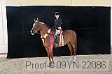 09yn-22086 proof