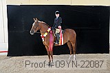 09yn-22087 proof