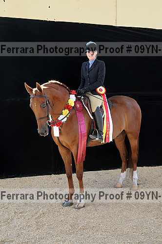 Proof 09yn-22089