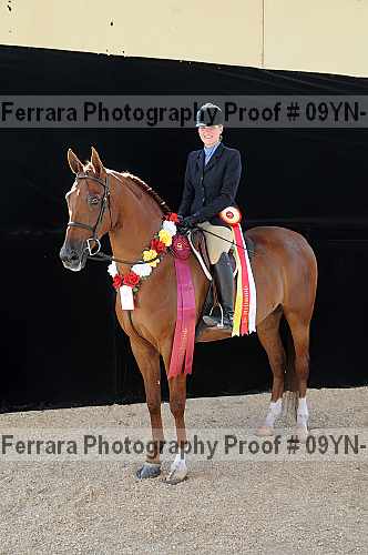 Proof 09yn-22090