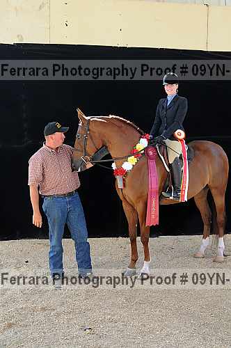 Proof 09yn-22091