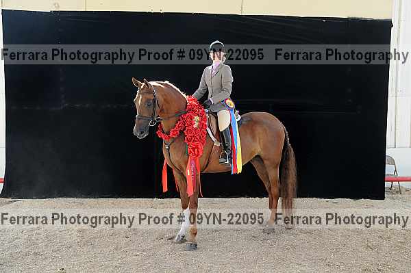 Proof 09yn-22095