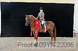 09yn-22095 proof