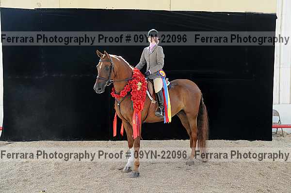 Proof 09yn-22096