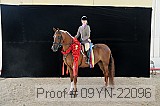 09yn-22096 proof