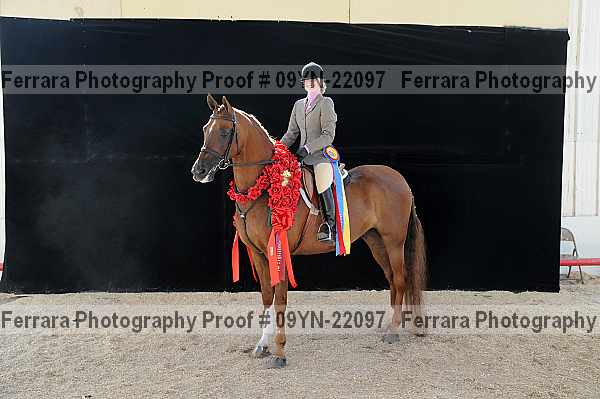 Proof 09yn-22097