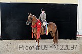 09yn-22097 proof