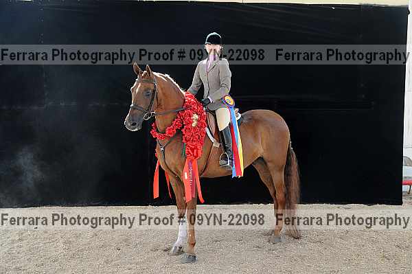 Proof 09yn-22098