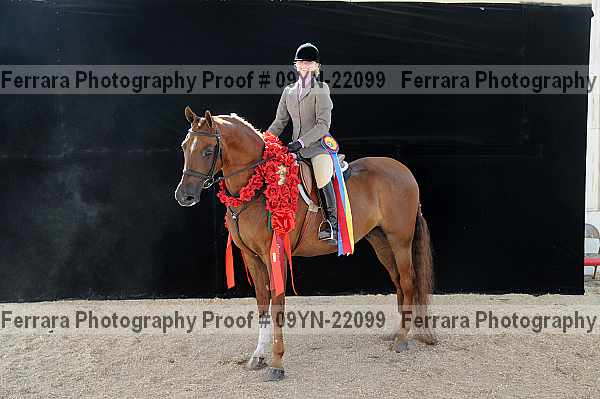 Proof 09yn-22099