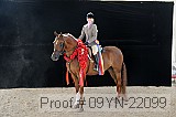 09yn-22099 proof