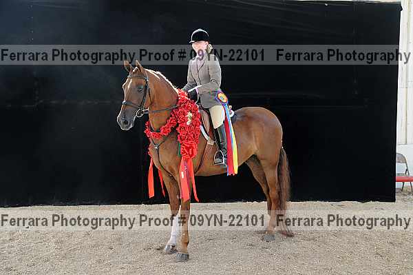 Proof 09yn-22101