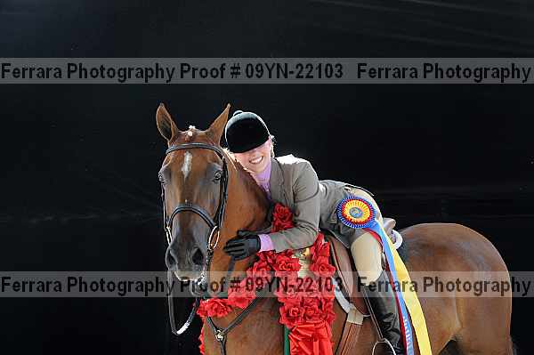 Proof 09yn-22103