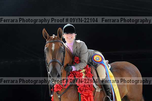 Proof 09yn-22104