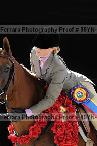 Proof 09yn-22118