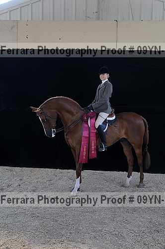 Proof 09yn-22137