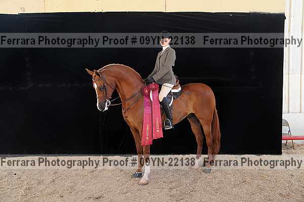 Proof 09yn-22138