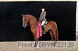 09yn-22139 proof