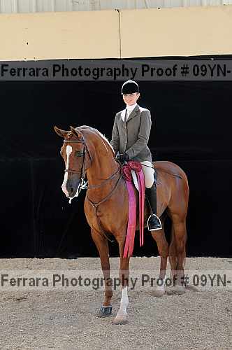 Proof 09yn-22141