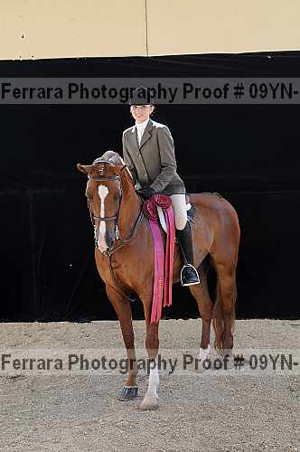 Proof 09yn-22142