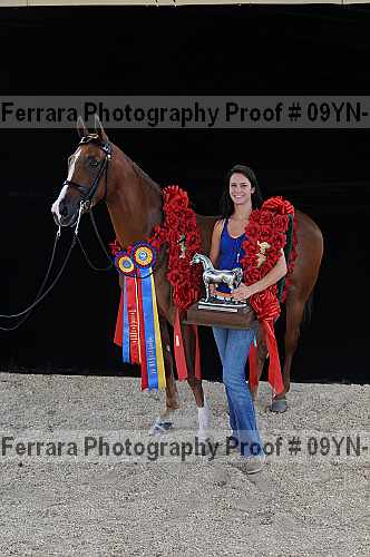Proof 09yn-22182