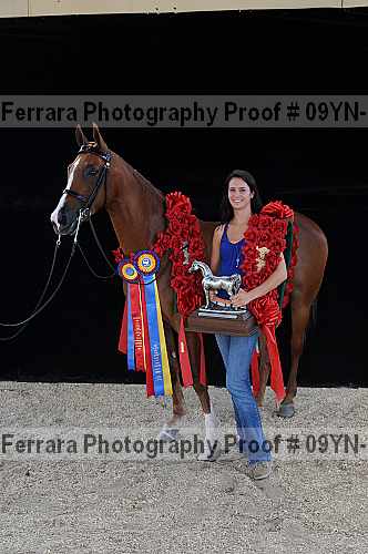 Proof 09yn-22183