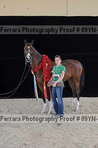 Proof 09yn-22188