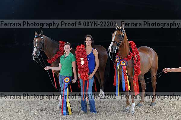 Proof 09yn-22202
