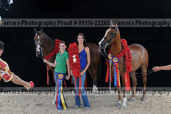 Proof 09yn-22203