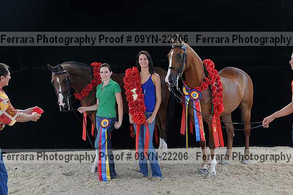 Proof 09yn-22206