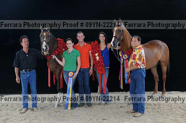 Proof 09yn-22214