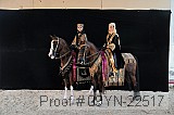09yn-22517 proof