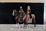 09yn-22518 proof