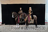 09yn-22538 proof