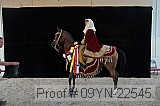 09yn-22545 proof