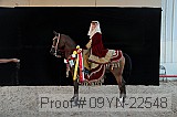 09yn-22548 proof